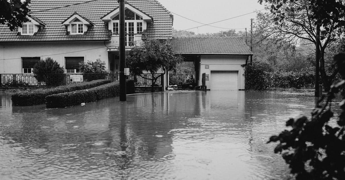 Cover Image for Sudden vs Gradual Water Damage: What Your Policy Actually Covers