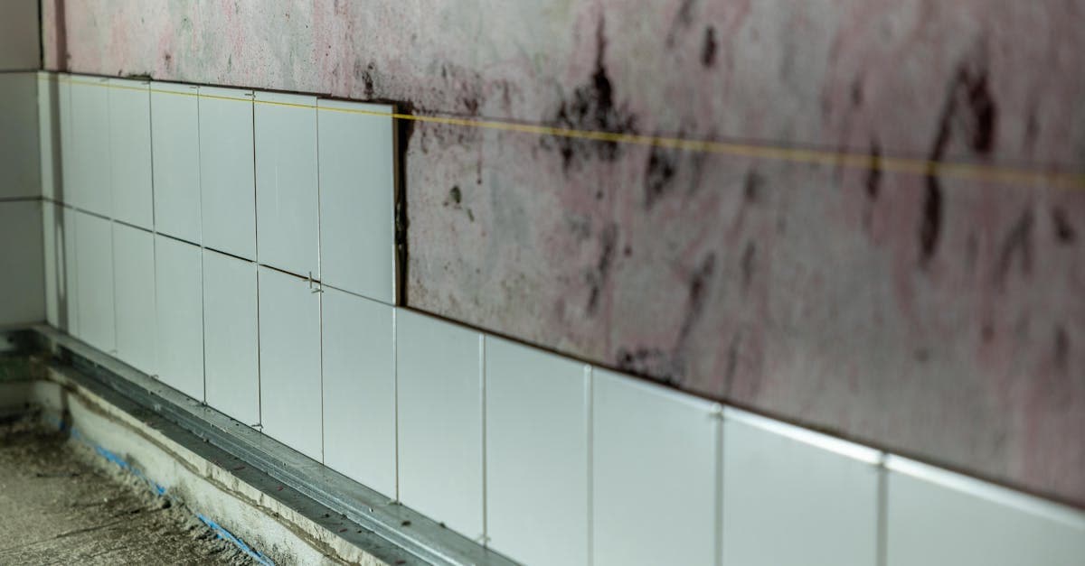 Cover Image for Mold and Homeowners Insurance: What Is Covered and What Is Excluded