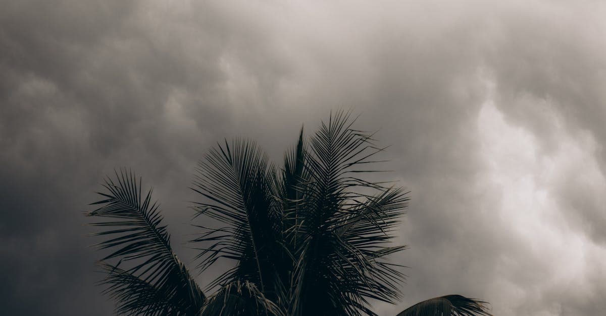 Cover Image for Hurricane Deductible Frequency: What Every Coastal Homeowner Must Know