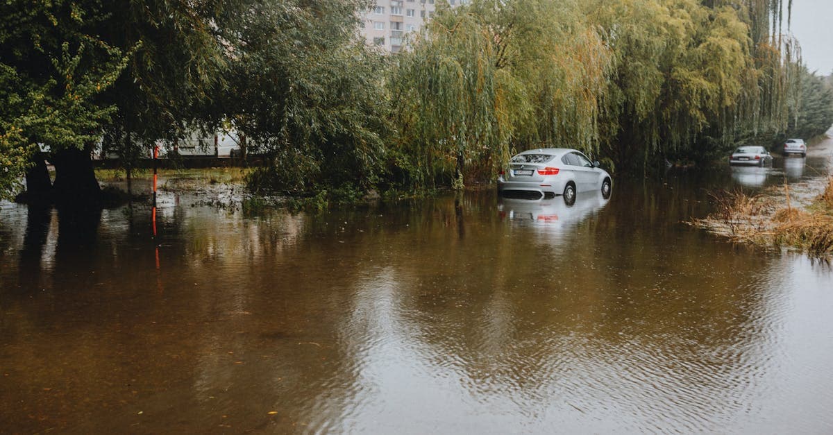 Cover Image for Understanding Flood Insurance for Condo Owners: RCBAP and Individual Policies